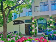-上海滨江森林公园