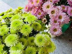 -百万叔(临湖店)