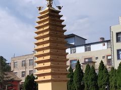 -眼镜粑粑