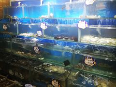 水产区-小船渔村•大连菜•大连焖鱼(明泽街店)