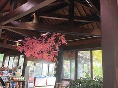 -金鸡湖桃花岛