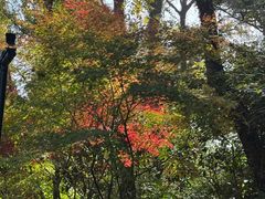 -湖畔居茶楼(湖滨店)