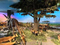 -国家自然博物馆