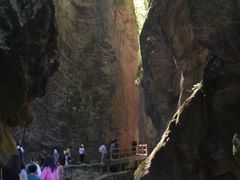 -牛背梁国家森林公园