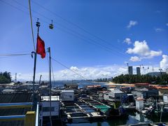 -蓝湾碧波·老字号·疍家非遗海上餐厅