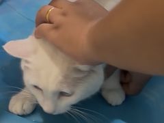 -美迦爱-牙专科·兔科·骨科诊疗中心(北苑店)