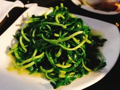 -云中小雅