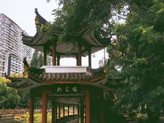 -温江公园