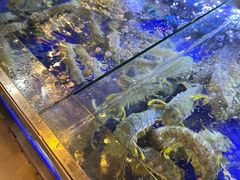 -两兄弟Song Pee Nong(2号店)