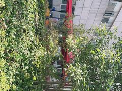 -上海中医药大学附属曙光医院(东部)