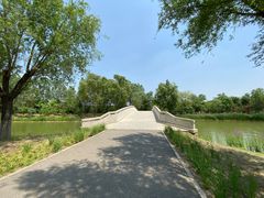 -东郊湿地公园