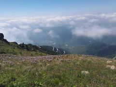 -白草畔自然风景区