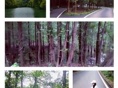 -青龙山国家森林公园