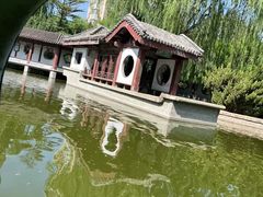 -团结湖公园