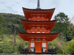 -有栖山 清光院 清水寺