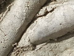 -张家港凤凰山景区河阳山歌馆