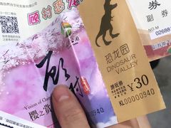 -自然谷恐龙园
