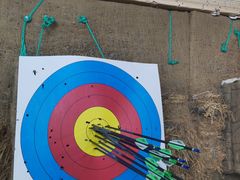 -道顺射箭·团建·骑射(张杨路店)