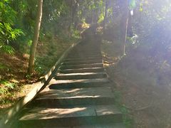 -火炉山森林公园