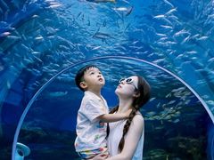 -海合安成都极地海洋公园