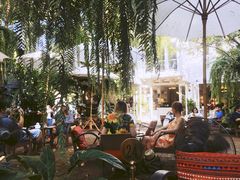 -Fern Forest Cafe