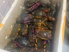 -凤凰路何眼镜香辣蟹(花果园店)