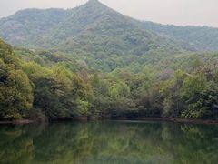 -杭州半山国家森林公园