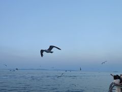 -大连海昌东方水城