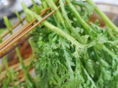 茼蒿-屋头串串(新街里店)
