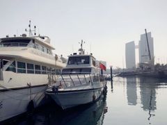 -渡海小渔村.老辈日照菜