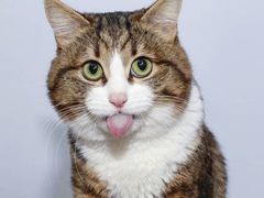 -老六素货(王顶堤店)