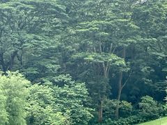 -番禺大夫山森林公园