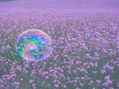 -紫颐香薰山谷景区