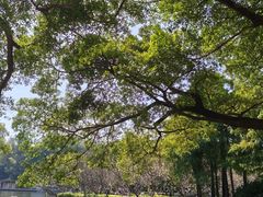 -晓港公园