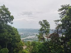 -缙云山景区
