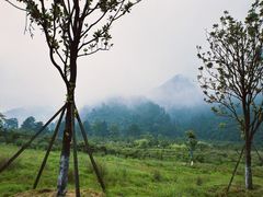 -龙里油画大草原旅游区
