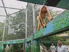 -西安秦岭野生动物园