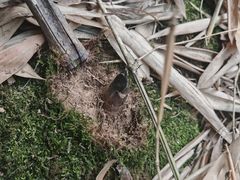 -苏州环秀晓筑养生度假村