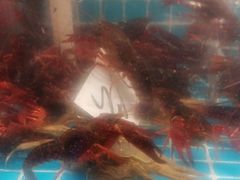 -韩胜·料理级自助烤肉海鲜火锅(财富港店)