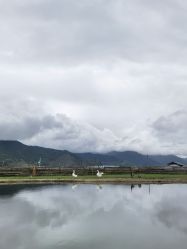 -纳帕海依拉草原