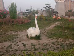 -卤阳湖国家湿地公园