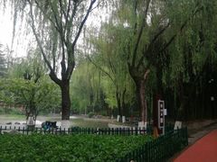 -西安市长乐公园