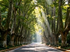 -闪电修企业手机电脑回收(西湖风景名胜区店)