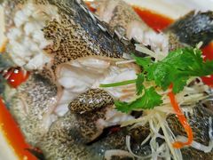 -T11生鲜超市(朝阳公园店)