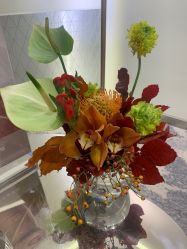 -明潪Selfology升维护理中心