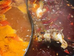 -销魂美蛙鱼头火锅(上海首店)