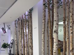-极简口腔(总院)