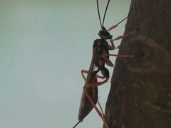 -南京市无想山景区