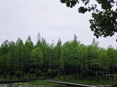 -长广溪湿地公园