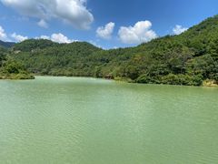 -广州白江湖森林公园